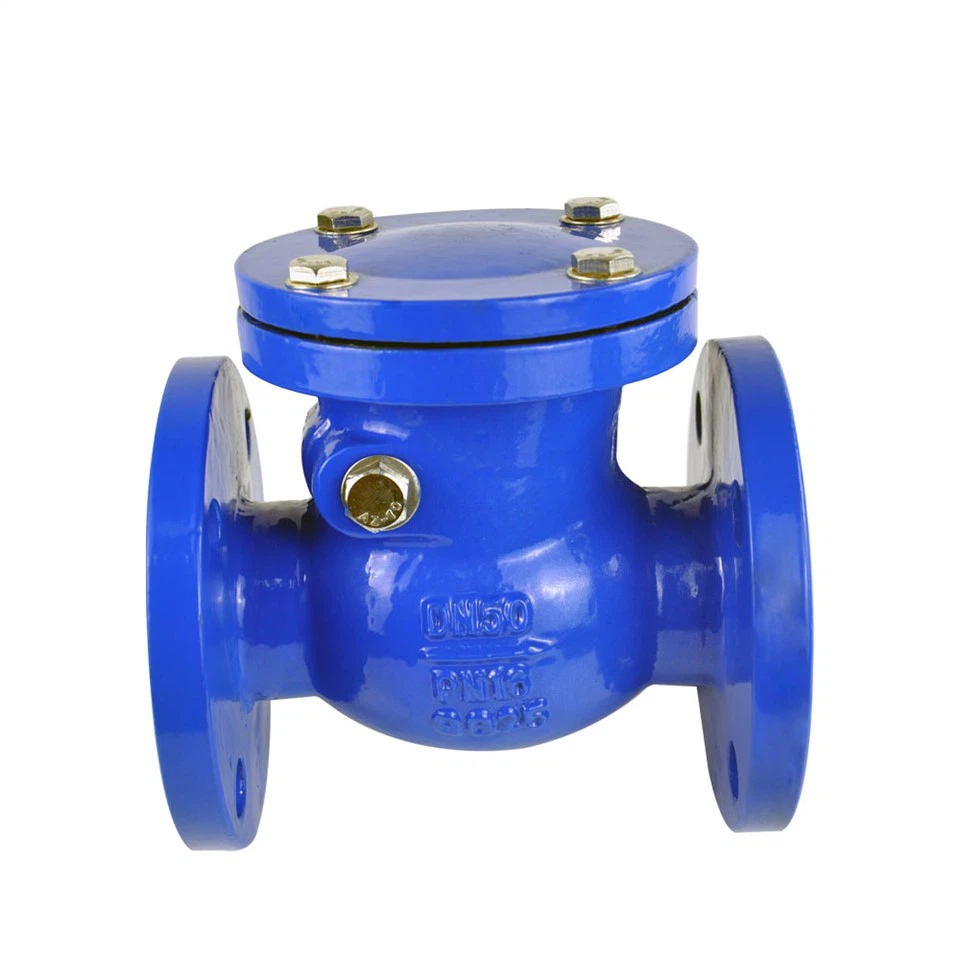 Non Return Check Valve