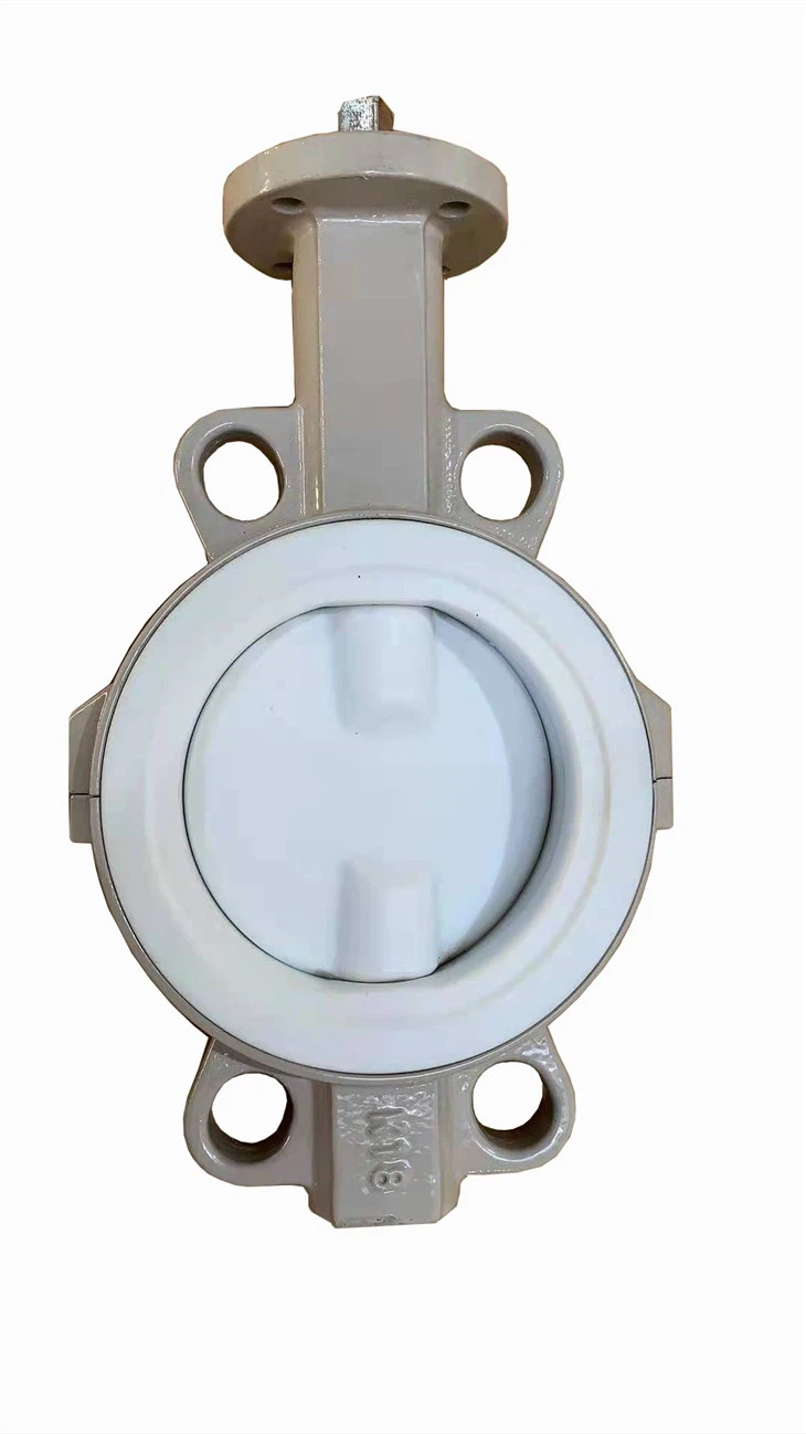 Split Wafer Butterfly Valve