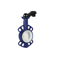 Concentric Wafer Type Ductile Iron Wafer Butterfly Valve