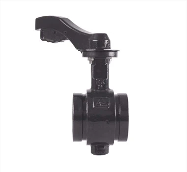 Válvula de mariposa de extremo ranurado OEM