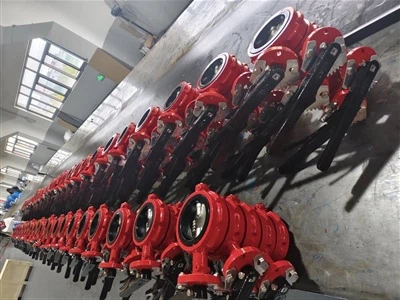 Válvula de mariposa, cuello corto, cuerpo con muesca, envío de 2 contenedores